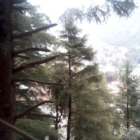 Himalayan Triund Trekking And Mountain View Hostel Dharamshala Buitenkant foto