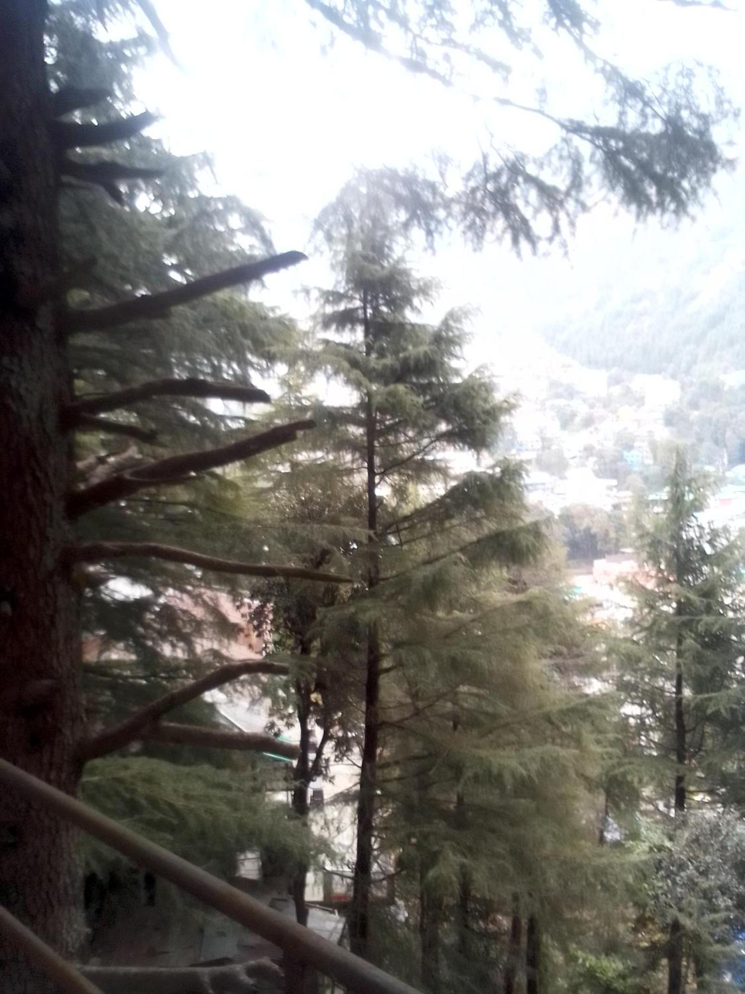 Himalayan Triund Trekking And Mountain View Hostel Dharamshala Buitenkant foto
