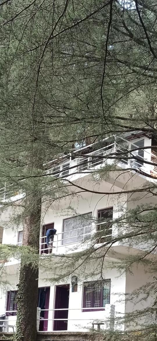 Himalayan Triund Trekking And Mountain View Hostel Dharamshala Buitenkant foto